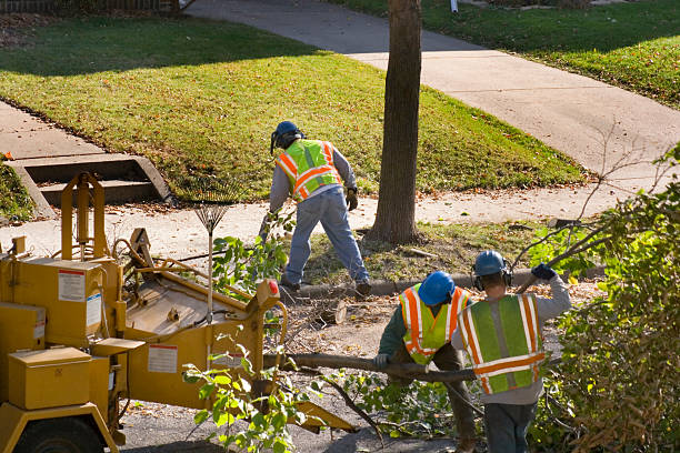 Best Lawn Irrigation Installation and Maintenance  in Dover, TN